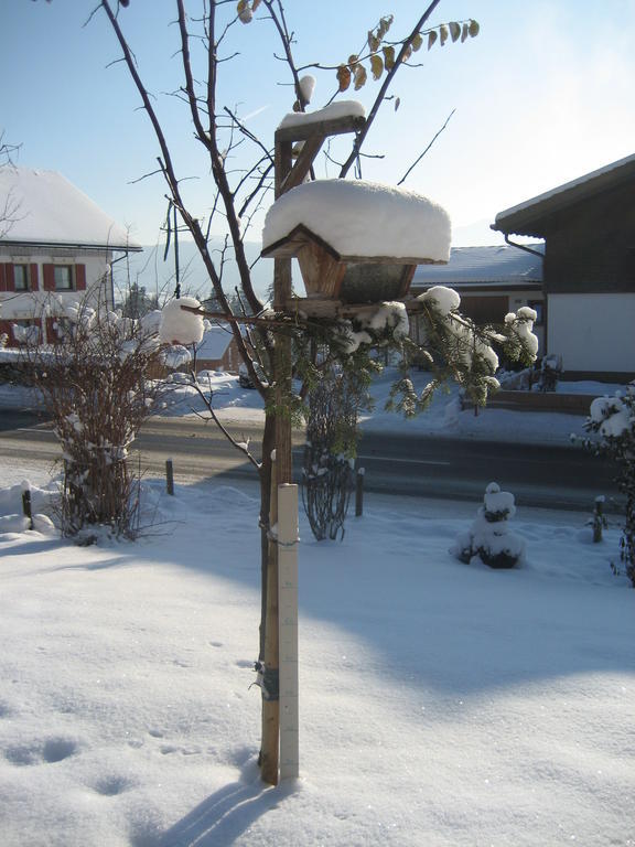 Ferienhaus Troy Doren Exterior foto